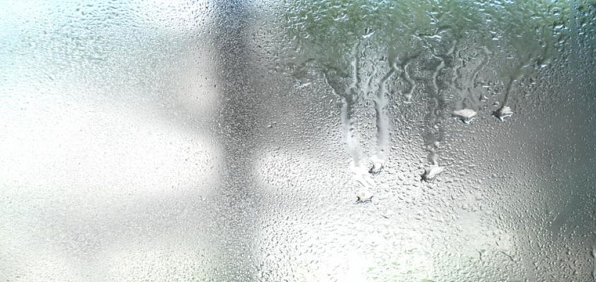 Controlar la humedad relativa en interiores, ¿cómo lograrlo?