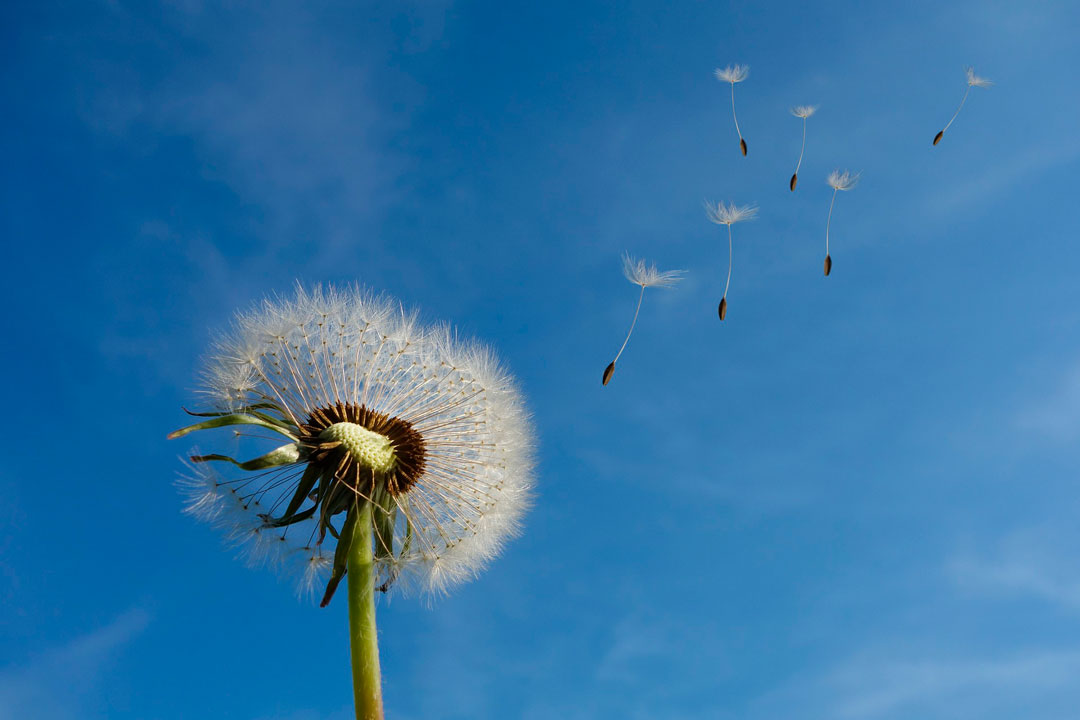 ¿Son las cortinas de aire sistemas de ventilación mecánica controlada?